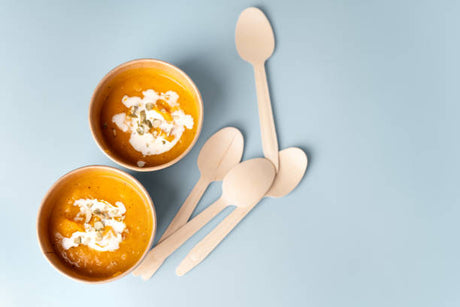 Plastic Soup Spoon Recommendations: Usage and Applications