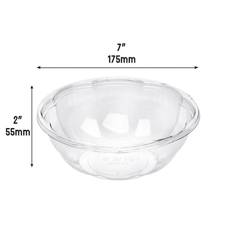 24oz Clear Salad Bowl Dimension