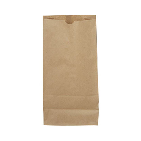 525 20lb Kraft Paper Bag