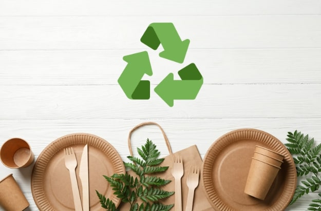 The Effects of Biodegradable Food Packaging on the Environment