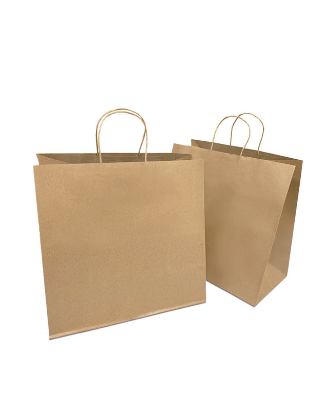 Kraft Bag with Handle