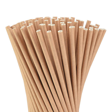 Kraft Paper Straws